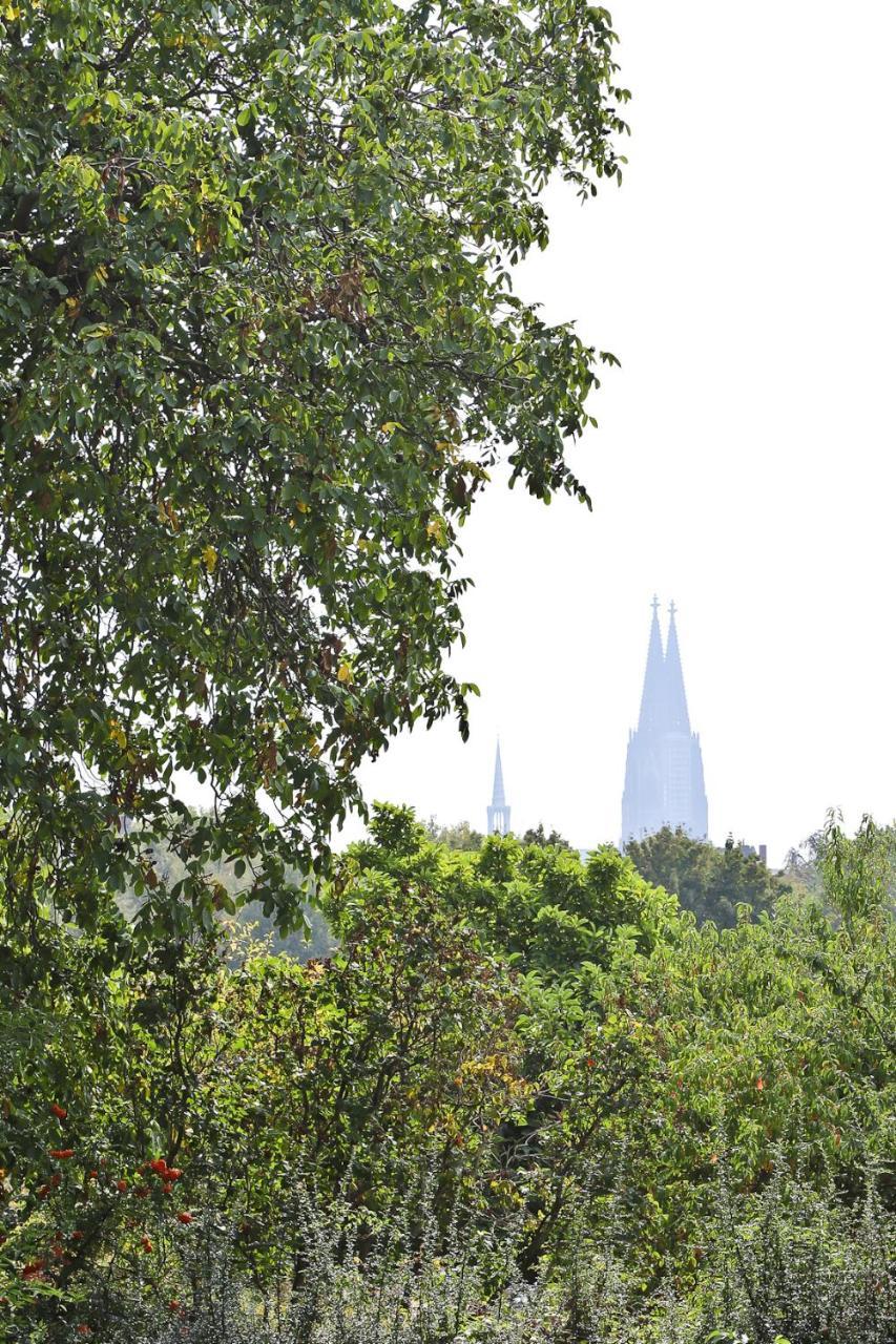Top Apartments In Zentraler Lage Köln Ngoại thất bức ảnh